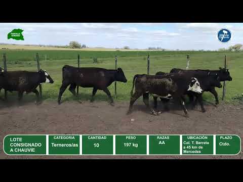 Video del lote L0-000863