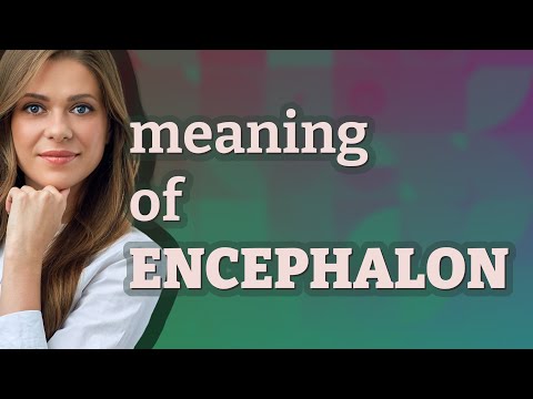 Encephalon | meaning of Encephalon