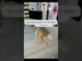 Mega Infantil A Casa Da Menina Fingindo Que Era Mas A Mãe Dela Avisou Que Ela Tava Chegando E Ela