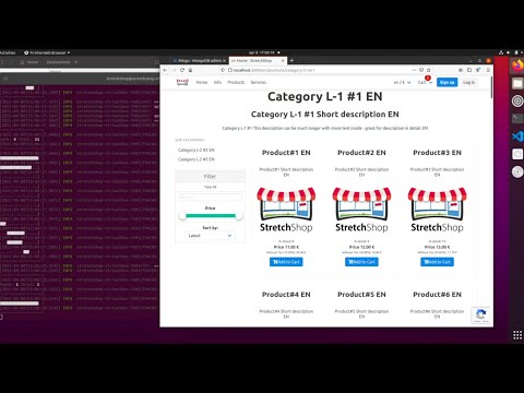 StretchShop Installation