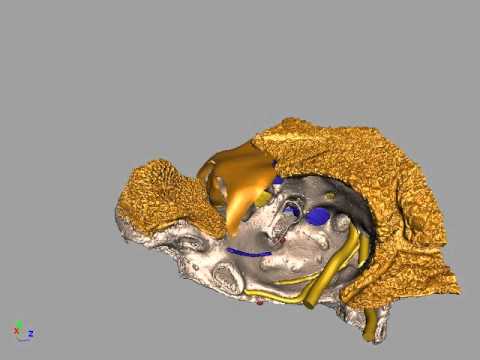 Image de prévisualisation YouTube