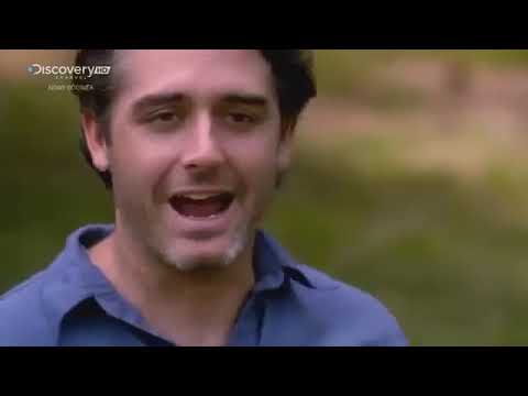 Zagadki Ziemi  Klątwa zaginionego królestwa Dokument Lektor PL360P