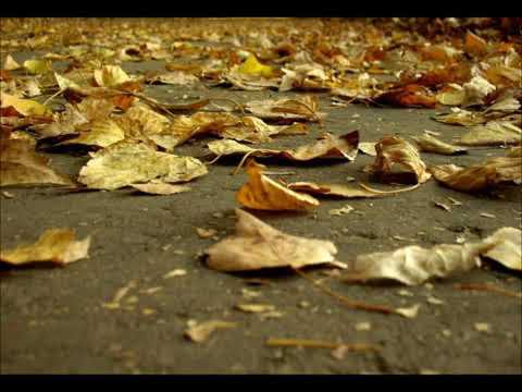 Khúc mùa thu / Ngọc Anh