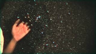 Rvdical The Kid - Dopamine Ft. Maesu