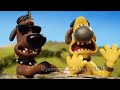 Bad Dog Maal Ka Gubbara Animals Animallovers