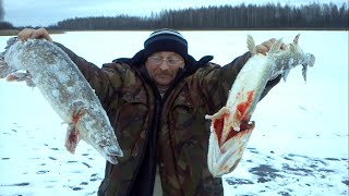 Рыбалка в серединском калужской области