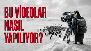 Penguen Videoları Nasıl Yapılıyor? | Seamless Geçiş, Loop ve AI Video 