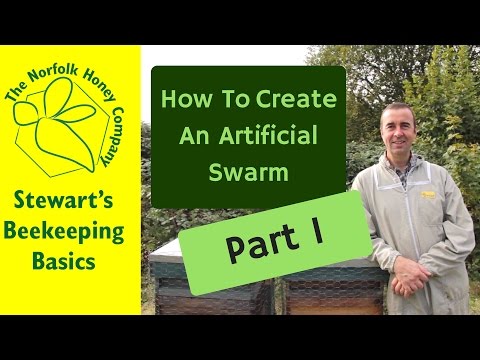Queen Rearing Basics - How to create an Artificial Swarm Part 1