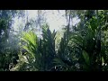 Riz Ortolani Main Theme Cannibal Holocaust