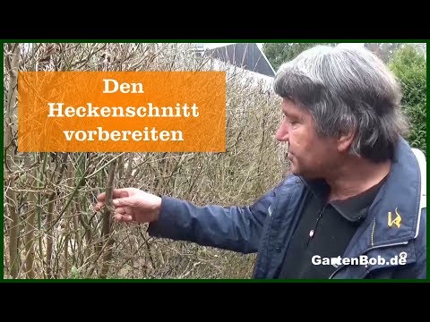 Den Heckenschnitt vorbereiten