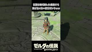 あまりにも隙が無さすぎるリンクｗｗ【ゼルダの伝説 ブレス オブ ザ ワイルド】