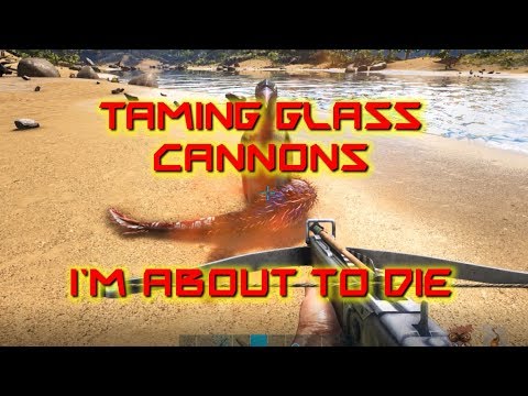 Taming Glass Cannons Simple Solutions