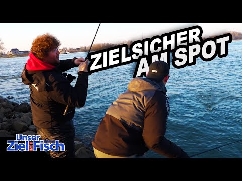 Der SPOT im SPOT: ZANDER am FLUSS genau AUSGEANGELT - Unser Ziel ist Fisch - Die Angelschule