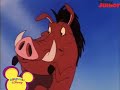Timon And Pumbaa