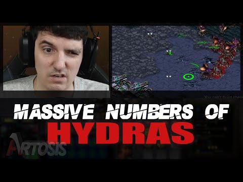 Coping with an Odd Zerg Army Composition