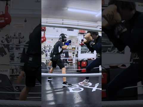 16歳VS44歳トレーナーのスパーリング2R目