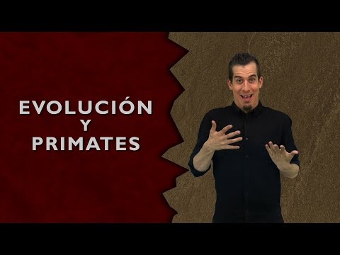 Cómo signar Homo Habilis en LSE