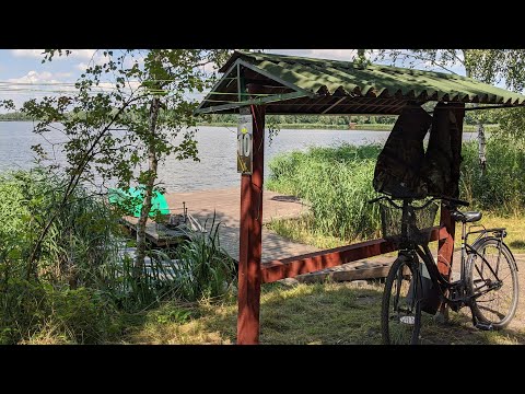 Paylake Polen eskaliert - Zwei Teams, 20kg+ Karpfen & POV-Action!