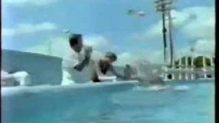 ROBIN WILLIAMS AT KBMML IN HAWAII