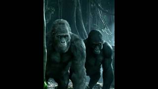 Download lagu 'Tarzan vs. His BROTHER? 🦍 The BRUTAL Fight for the Jungle Throne in The Legend of Tarzan!' mp3 Download lagu 'Tarzan vs. His BROTHER? 🦍 The BRUTAL Fight for the Jungle Throne in The Legend of Tarzan!' mp3