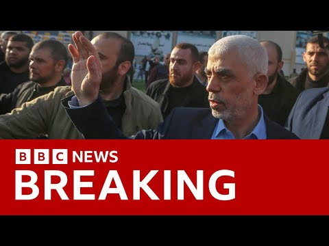 Video | Israel says it's 'checking possibility' it killed Hamas leader Yahya Sinwar in Gaza | BBC News