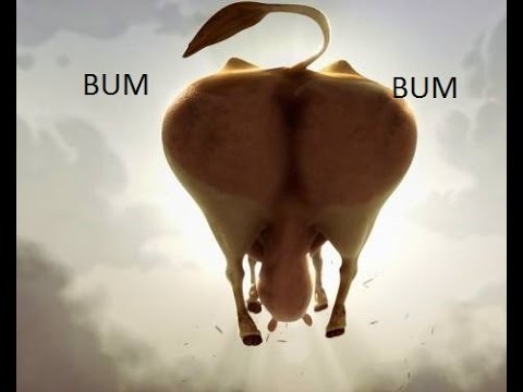 BUM BUM