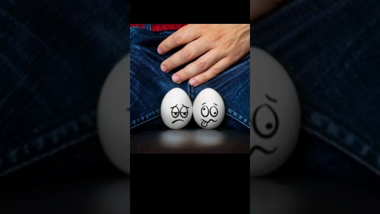 O que é CRIPTORQUIDIA?#anatomia #anatomiaclinica #curiosidades