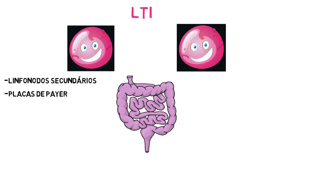 Células linfoides inatas