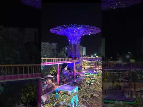 TÔ DE BOA EM CALDAS NOVAS - SINGAPURA SHOPPING