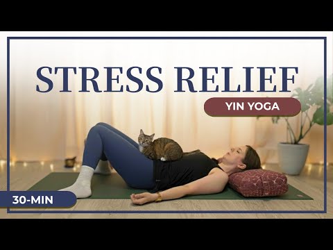 30 Minutes of Pure Stress Relief! (With Props)