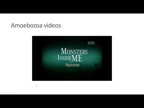 Chapter 5 OpenStax Microbiology