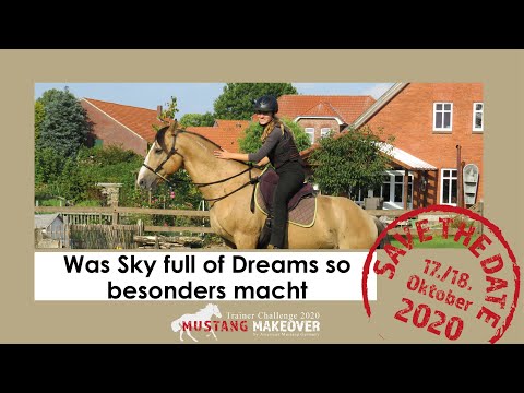 MUSTANG MAKEOVER 2020 - Team Anna - Ein Rückblick