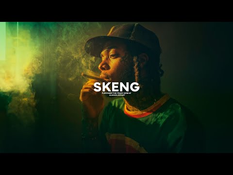 Reggae Trap Type Beat | Protoje Type beat | Reggae Dub Trap Instrumental 2026 | SKENG RIDDIM