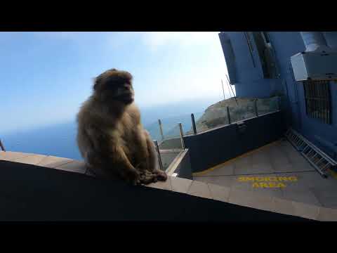 Vlog#233 Visit Gibraltar by car? All you need to know...