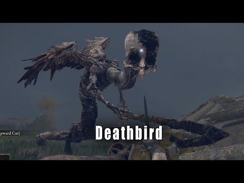 Elden Ring - Deathbird Boss Fight