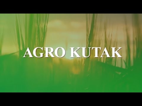 “Agro kutak” – Ovogodišnji urod jabuka prepolovljen - 24.11.2022