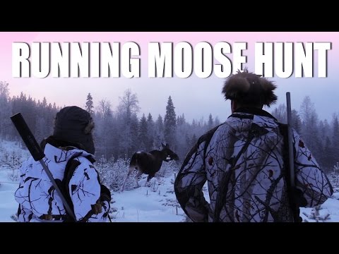 Running Moose Hunt Running Moose Hunt