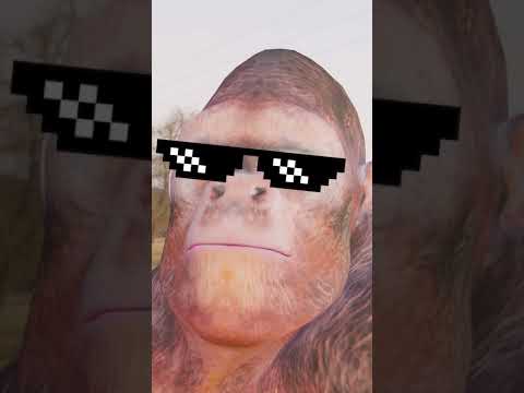 Dodging Dance #arbs Edition #shorts