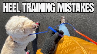 6 Common Heel Training Mistakes (and How to Fix Them)