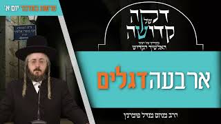 הרב מנחם מנדל פומרנץ | דקה מתורתו של רבינו האלשיך הקדוש - יום א' פרשת במדבר • ארבעה דגלים •