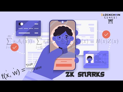 ZK Snarks - Beginner to Advanced in 10 Minutes - Blockchain Sensei