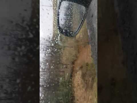 Hlökk frá Marteinstungu ofl