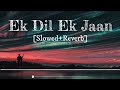 Ek Dil Ek Jaan [Slowed+Reverb]- Shivam Pathak | StupidFlames