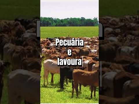 Complexo de 2 fazendonas em Jussara GO. 29.300 ha/  WhatsApp 53 99197-8822