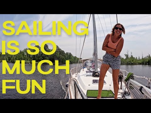 Epic SAILING, Free Docks and Turtle Eggs | Sailing Zephyr - Ep. 197