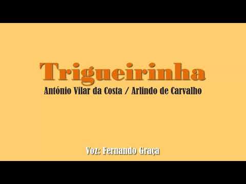 Bate o Fado Trigueirinha (baile) - Voz Fernando Graça