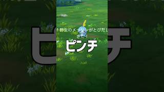 メッソンコミュデイでピンチ #ポケモンgo #shorts