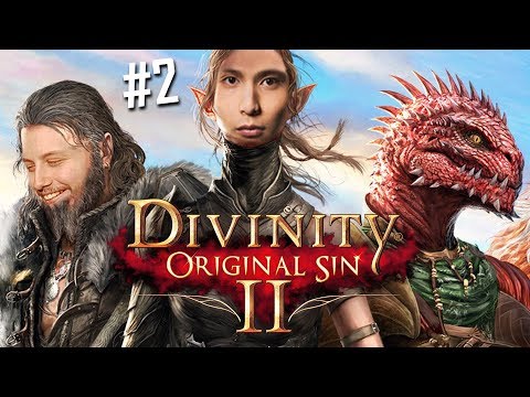 SingxGorgc CO-OP: Divinity ORIGINAL SIN II #2