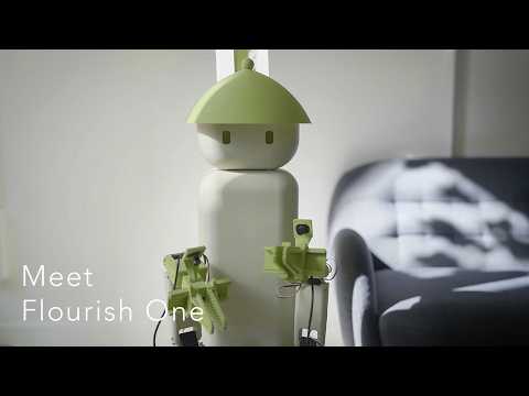 Flourish 1 Review Video 1