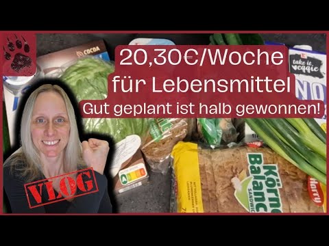 SPAREN extrem günstiger Wocheneinkauf 20,30€ 🥳 Planung ist ALLES! #foodhaul #budgetplanung #vlog